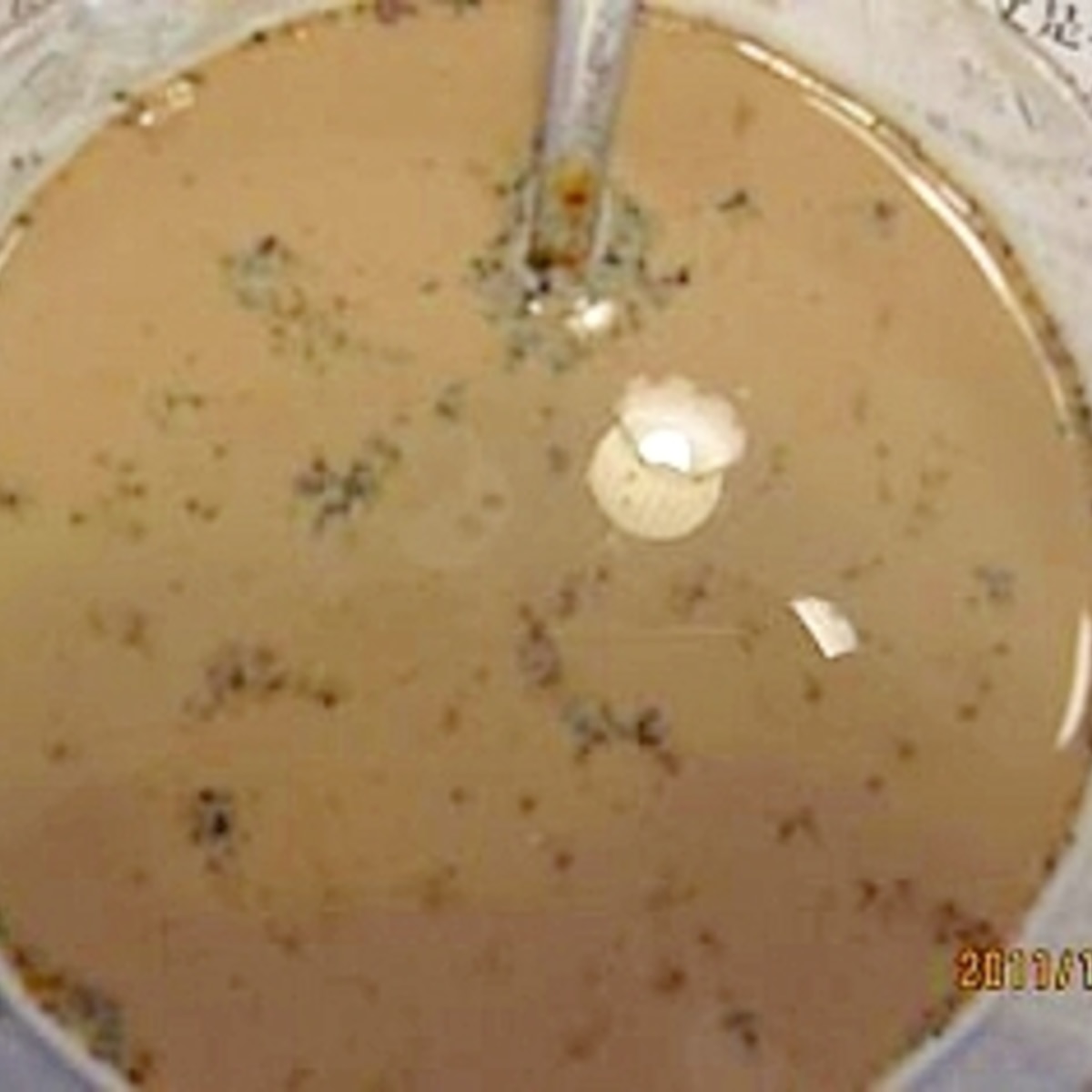豆乳 コーヒー 黒ゴマ きな粉入れ飲み物 レシピ 作り方 By わんちゃん102 楽天レシピ 豆乳 コーヒー 黒ゴマ きな粉入れ飲み物 レシピ 作り方 By わんちゃん102 楽天レシピ